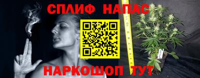 трава Ирбит